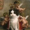 NineGag profile picture for @charlies