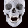 NineGag profile picture for @pop