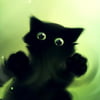 NineGag profile picture for @acronym