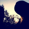 NineGag profile picture for @betting