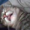 NineGag profile picture for @brooke