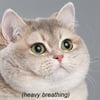 NineGag profile picture for @butterball