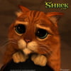 NineGag profile picture for @carmel