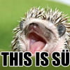 NineGag profile picture for @classified