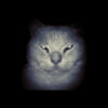NineGag profile picture for @dee