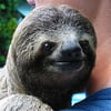 NineGag profile picture for @juke