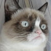 NineGag profile picture for @commander