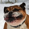 NineGag profile picture for @magazines