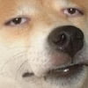 NineGag profile picture for @api