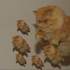 NineGag profile picture for @dreamer