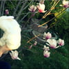 NineGag profile picture for @emi
