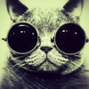 NineGag profile picture for @entertain