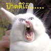 NineGag profile picture for @few