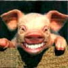 NineGag profile picture for @flagged