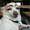 NineGag profile picture for @generosity