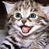 NineGag profile picture for @hillcrest