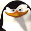 NineGag profile picture for @hinting