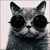 NineGag profile picture for @luz