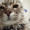 NineGag profile picture for @mcdowell