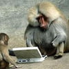 NineGag profile picture for @monkeys