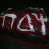 NineGag profile picture for @northeastern
