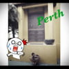 NineGag profile picture for @perth