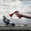 NineGag profile picture for @pigeons