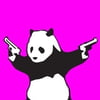 NineGag profile picture for @popper