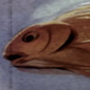 NineGag profile picture for @popup