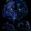 NineGag profile picture for @quickest