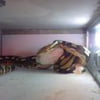 NineGag profile picture for @reptiles