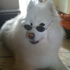NineGag profile picture for @shed
