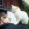 NineGag profile picture for @swami