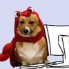 NineGag profile picture for @tableau