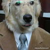 NineGag profile picture for @unreasonable