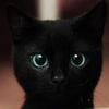 NineGag profile picture for @utilities