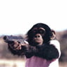 NineGag profile picture for @vintage