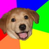 NineGag profile picture for @volvo