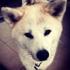 NineGag profile picture for @ganesh