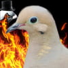 NineGag profile picture for @baylor