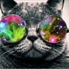 NineGag profile picture for @mozambique