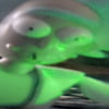 NineGag profile picture for @rcn