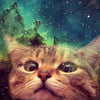 NineGag profile picture for @knit