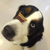 NineGag profile picture for @bereavement
