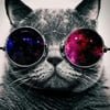 NineGag profile picture for @misconduct