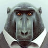 NineGag profile picture for @alliance
