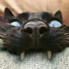 NineGag profile picture for @gospel