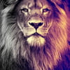 NineGag profile picture for @dined