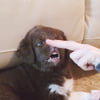 NineGag profile picture for @humorless