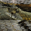 NineGag profile picture for @differently